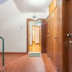 Tulipa Do - By Proguest * 제어스