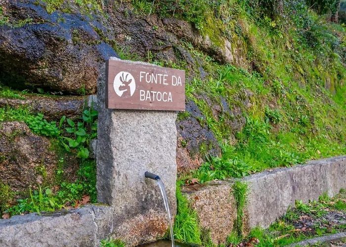 Tulipa Do Apartman Geres