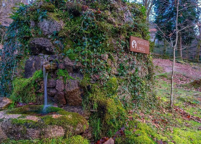 Tulipa Do Gêres * Gerês